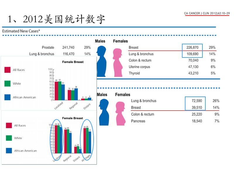 外科肿瘤乳腺癌ppt课件.ppt_第3页