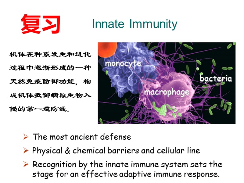 博士生课程固有免疫模式识别ppt课件.ppt_第1页