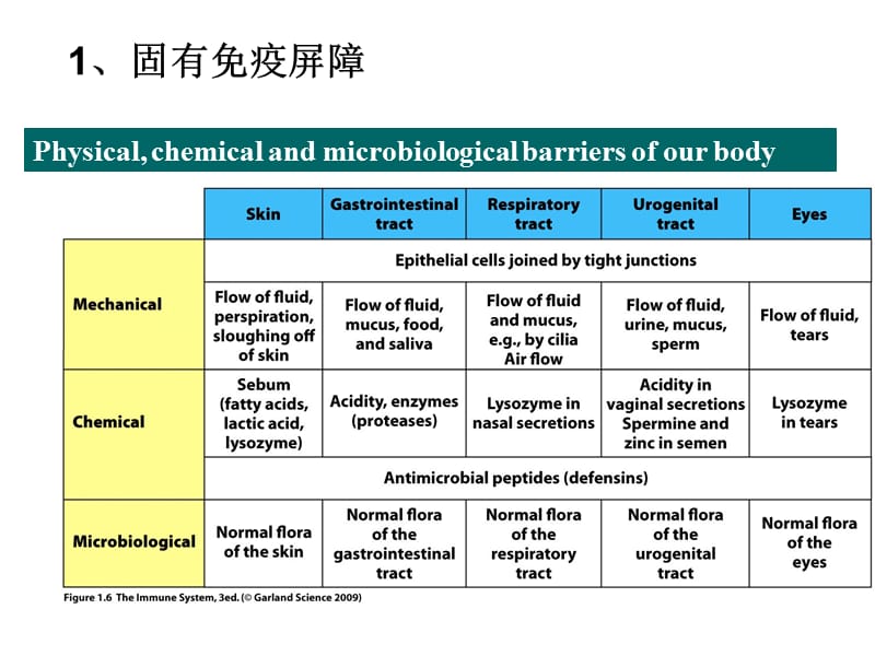 博士生课程固有免疫模式识别ppt课件.ppt_第3页