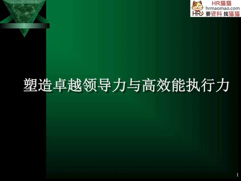 塑造卓越领导力与高效能执行力-HR猫猫.ppt_第1页