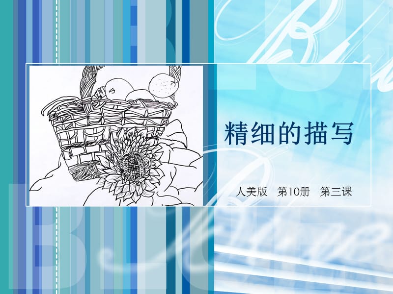 人美版五年级美术下册《精细的描写》课件.ppt_第1页