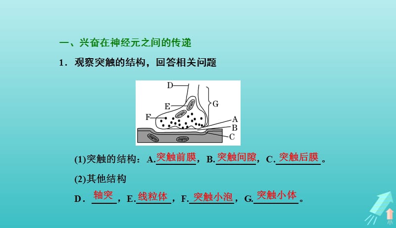 2019年高中生物第2章第1节第2课时通过神经系统的调节二课件新人教必修32019042014.ppt_第2页