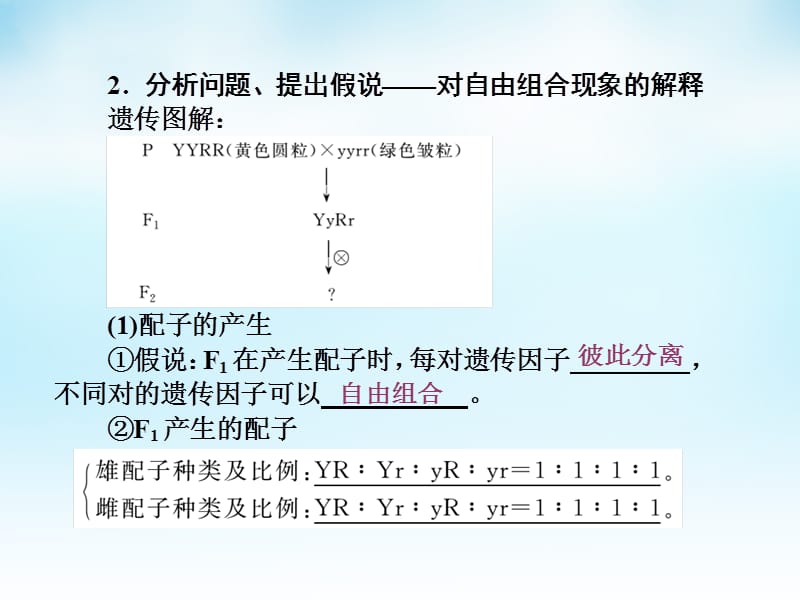 2016届高三生物一轮复习 第一单元 第2讲 基因的自由组合定律课件 新人教版必修.ppt_第3页