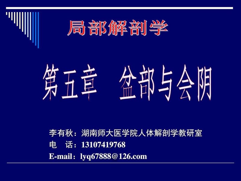 《盆部与会阴》PPT课件.ppt_第1页