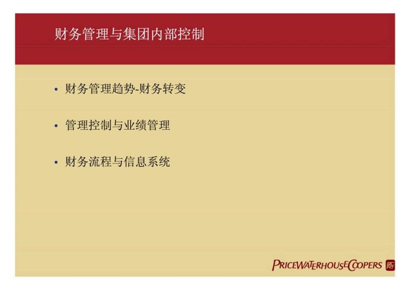 普华永道-财务管理与集团内部控制.ppt_第2页