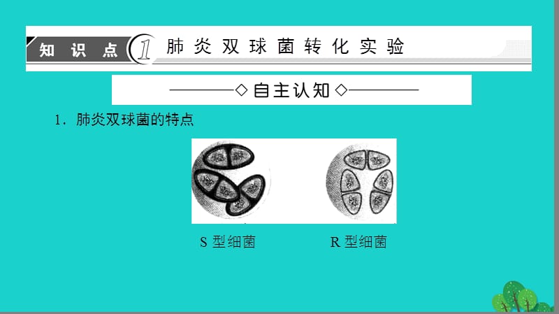 2016_2017学年高中生物第4章遗传的分子基础第1节探索遗传物质的过程课件苏教版必修.ppt_第3页