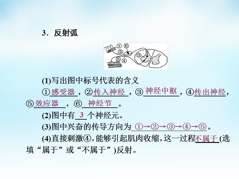 2016届高三生物一轮复习 第一单元 第2讲 神经调节课件 新人教版必修.ppt_第3页