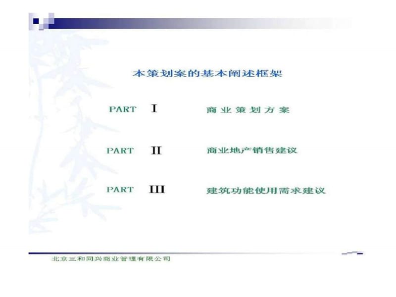 滨洲国贸新天地商业策划全案(1).ppt_第2页