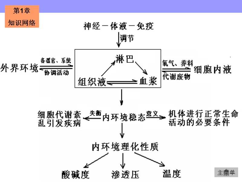 免疫系统与免疫功能PPT课件.ppt_第2页