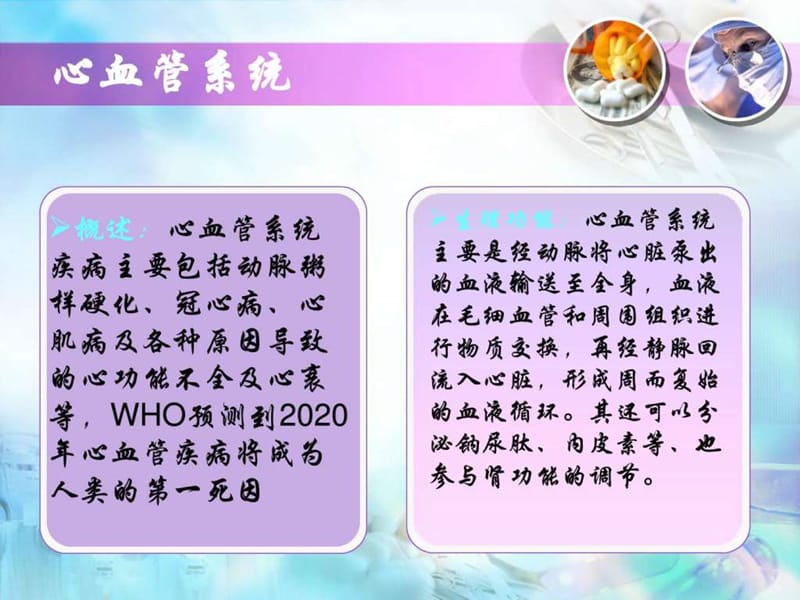 心脏疾病主要检测的指标(1).ppt_第2页