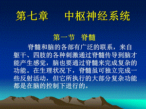 《中枢神经》PPT课件.ppt