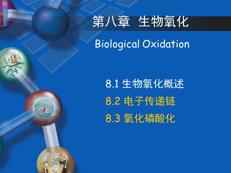 【生物化学】第五章-生物氧化-第二节-电子传递链.ppt_第1页
