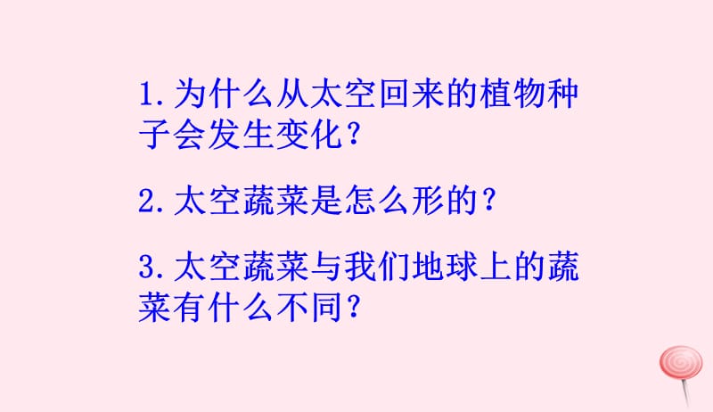 四年级语文上册第八组32飞船上的特殊乘客课件新人教版20190516164.ppt_第3页