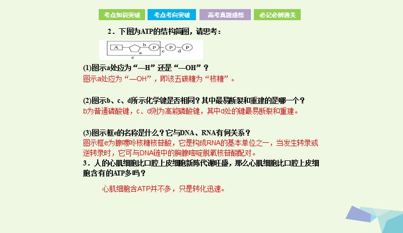 全国卷地区专用2018高考生物总复习第三单元细胞的能量供应和利用第2讲ATP与细胞呼吸课件20170731339.ppt_第3页