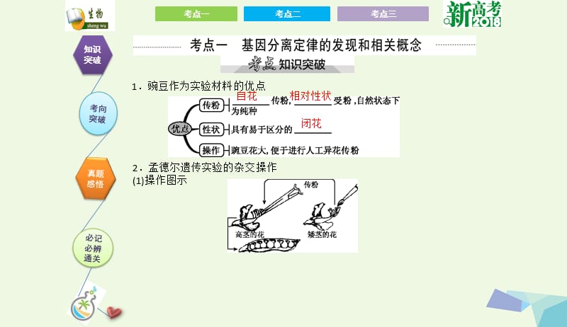 全国卷地区专用2018高考生物总复习第五单元遗传定律和伴性遗传第1讲孟德尔的豌豆杂交实验一课件20170731312.ppt_第2页