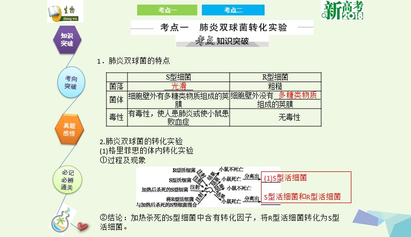 全国卷地区专用2018高考生物总复习第六单元基因的本质与表达第1讲DNA是主要的遗传物质课件20170731351.ppt_第2页