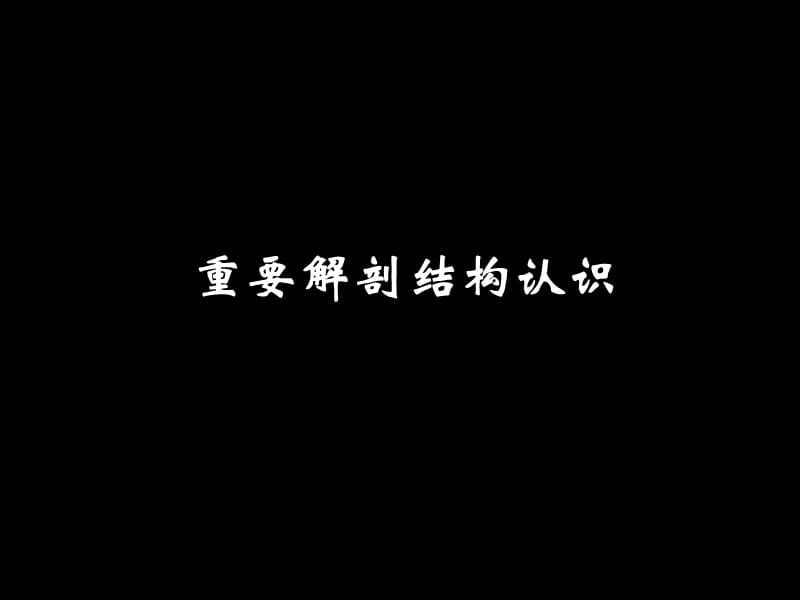 影像学,踝关节和足mrippt课件.ppt_第3页