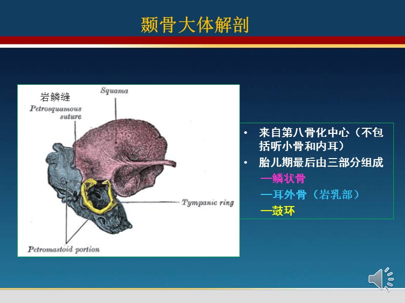 颞骨翻译马国林整理中文ppt课件.ppt_第3页