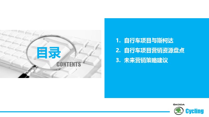 斯柯达自行车项目营销规划方案(终）.ppt_第2页