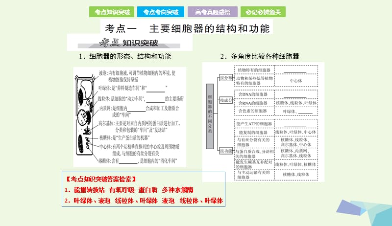 全国卷地区专用2018高考生物总复习第二单元细胞的基本结构与物质的运输第2讲细胞器__系统内的分工合作课件20170731358.ppt_第2页