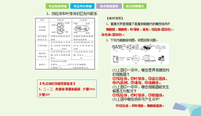 全国卷地区专用2018高考生物总复习第二单元细胞的基本结构与物质的运输第2讲细胞器__系统内的分工合作课件20170731358.ppt_第3页