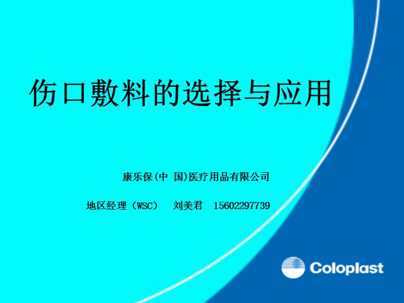 敷料的选择与应用.ppt_第1页