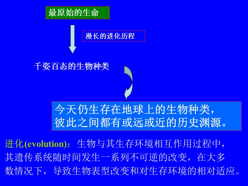 微生物的进化、系统发育和分类鉴定.ppt_第2页