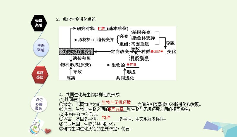 全国卷地区专用2018高考生物总复习第七单元生物的变异育种和进化第3讲现代生物进化理论课件20170731344.ppt_第3页