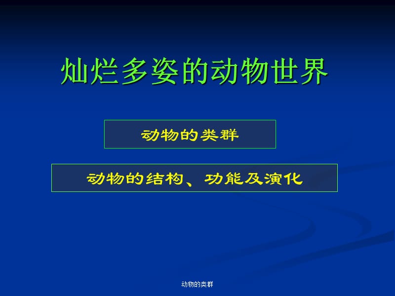 灿烂多姿的动物世界PPT课件.ppt_第1页