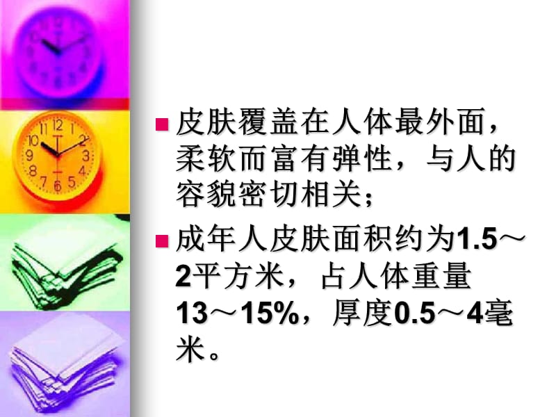 皮肤的生理知识PPT课件.ppt_第2页