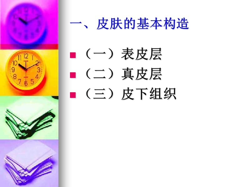 皮肤的生理知识PPT课件.ppt_第3页