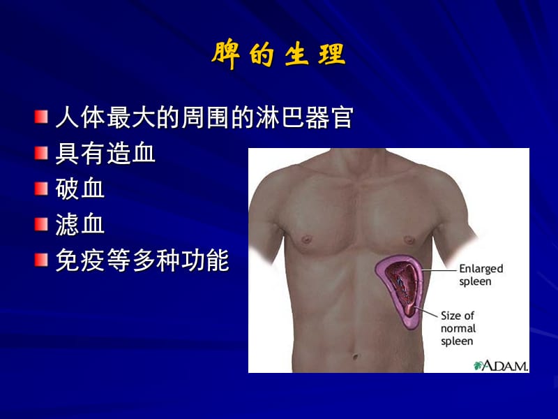 脾脏疾病影像学检查及诊断PPT课件.ppt_第3页