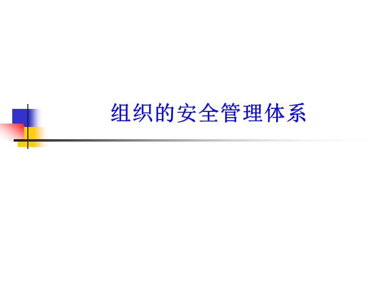 组织的安全管理体系.ppt_第1页