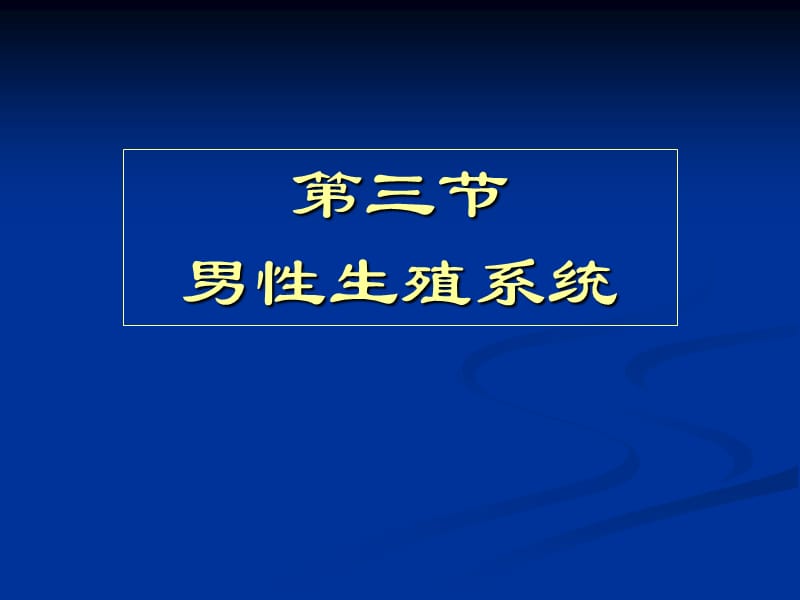 男性生殖系统PPT课件.ppt_第1页