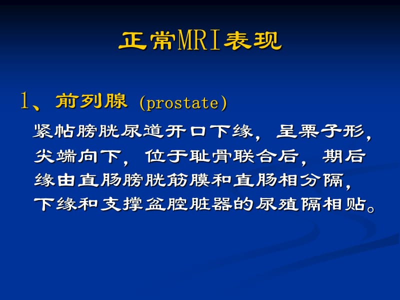 男性生殖系统PPT课件.ppt_第3页