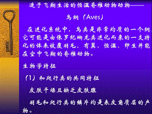 适于飞翔生活的恒温脊椎动物动物——鸟纲（Aves）在进化.ppt