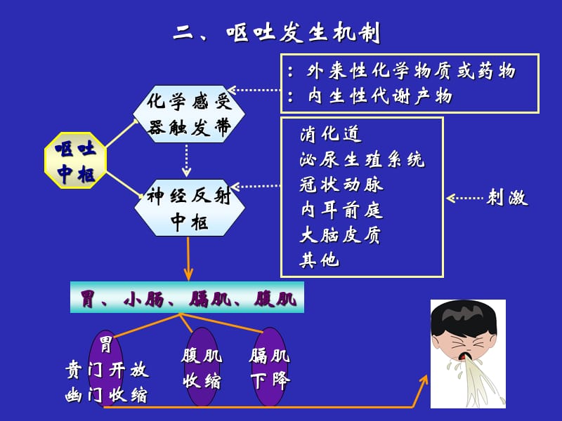 恶心呕吐评估PPT课件.ppt_第3页