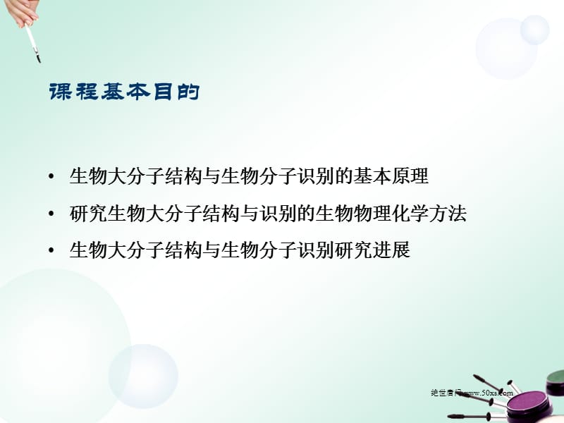 电子商务中的财务与会计PPT课件.ppt_第2页