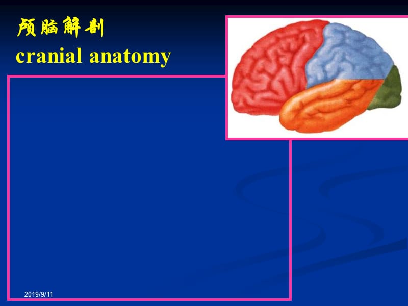 颅脑解剖与常见疾病的CT&ampMRI表现PPT课件.ppt_第3页