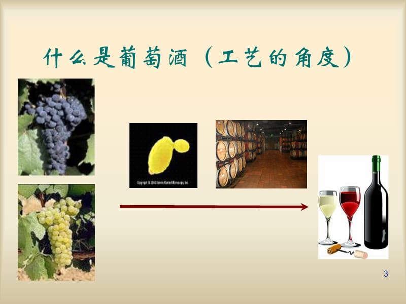 葡萄酒知识培训PPT课件.ppt_第3页