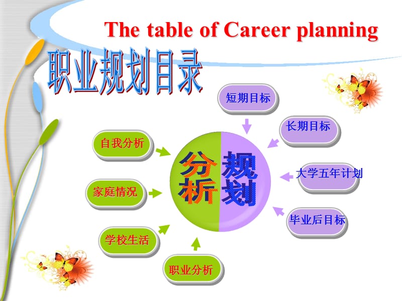 大学生职业规划PPT课件.ppt_第3页