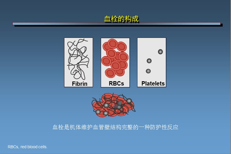 从普通肝素到磺达肝癸钠——肝素类抗凝药物研发历程.ppt_第2页