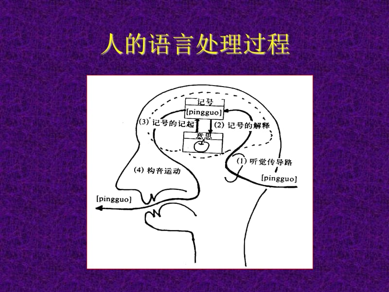 言语障碍的评定.ppt_第3页