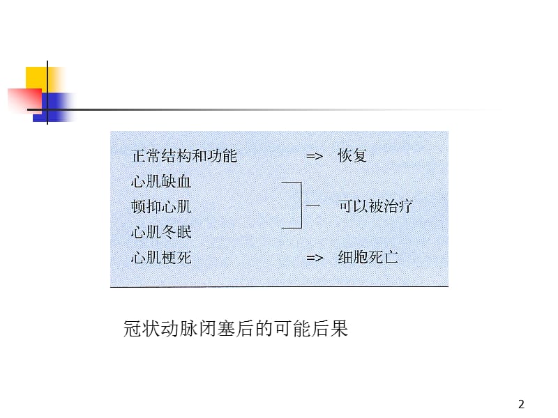 心肌顿抑与冬眠心肌-教学课件.ppt_第2页