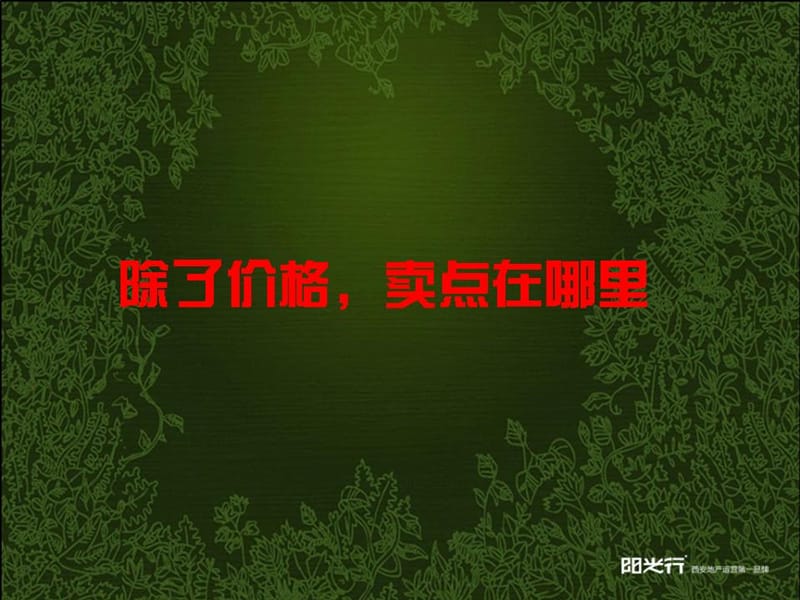 2008年西安泊澜地幸福是个圈推广策略-149PPT.ppt_第3页