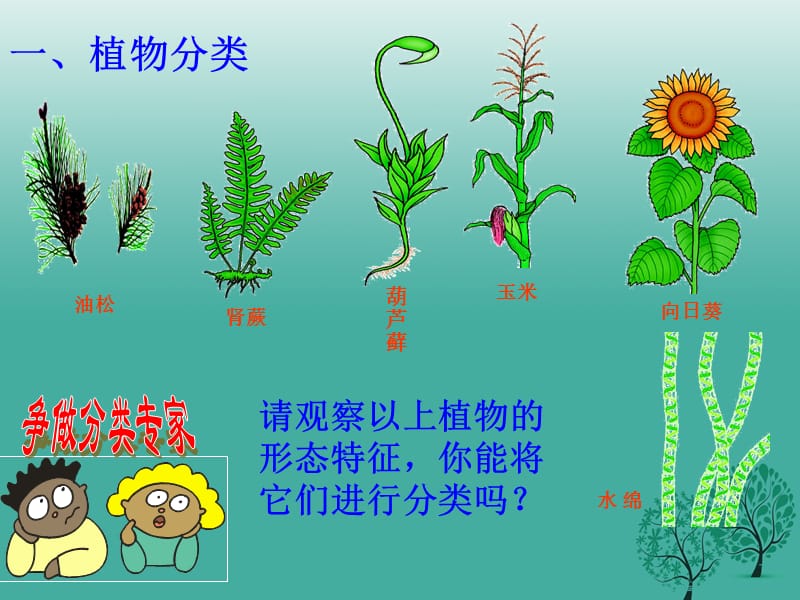 八年级生物上册第六单元第一章第一节尝试对生物进行分类课件1新版新人教版.ppt_第3页