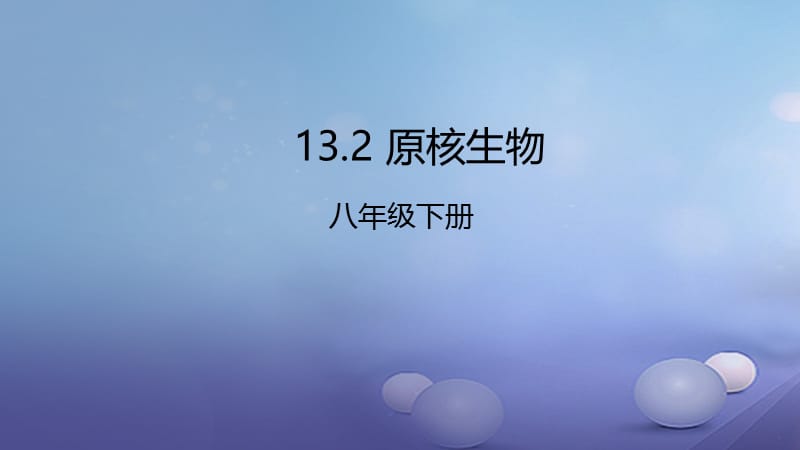 八年级生物下册13.2原核生物课件北京课改版.ppt_第1页