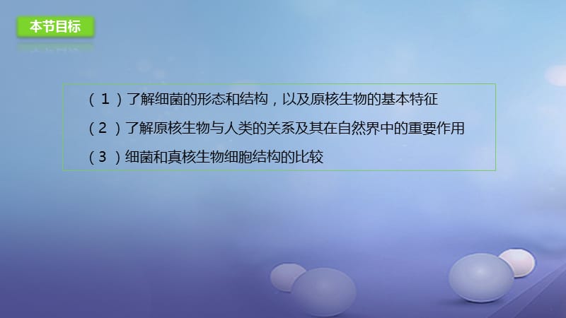 八年级生物下册13.2原核生物课件北京课改版.ppt_第2页