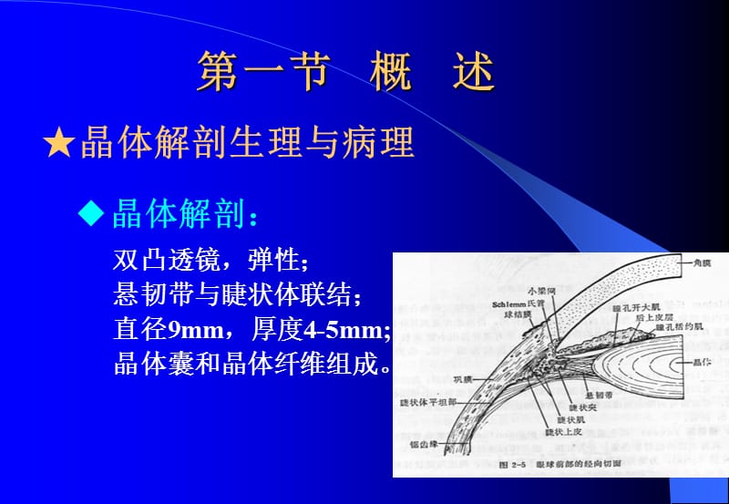 晶状体病-教学课件.ppt_第2页