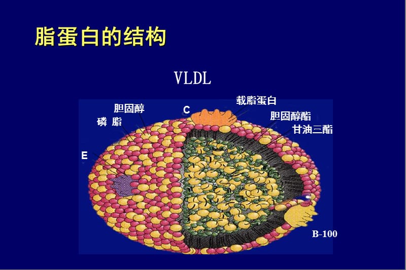 社区血脂异常防治_王增武.ppt_第3页